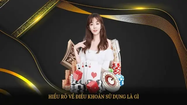 Nội dung chi tiết trong điều khoản điều kiện nohu