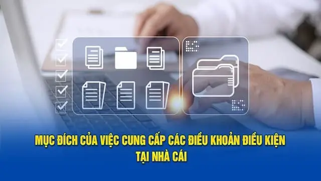 Vai trò của điều khoản điều kiện nohu