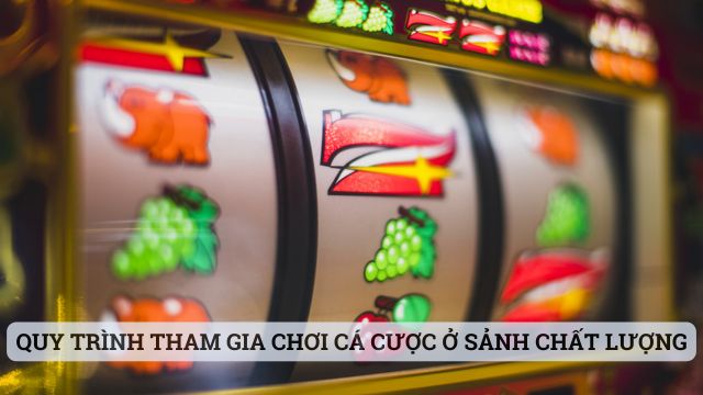 Quy trình tham gia chơi cá cược ở sảnh chất lượng
